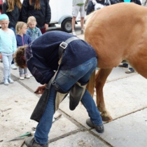 Stutenmilch Pulver oder Kapseln für Hunde und Katzen - Atopie - Hautbeschwerden - Juckreiz - Magen- und Darmbeschwerden - Blasenprobleme - Mehr Energie - Gesundes und glänzendes Fell - Hotspots - Allergie