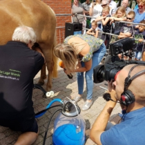 Stutenmilch Pulver oder Kapseln für Hunde und Katzen - Atopie - Hautbeschwerden - Juckreiz - Magen- und Darmbeschwerden - Blasenprobleme - Mehr Energie - Gesundes und glänzendes Fell - Hotspots - Allergie